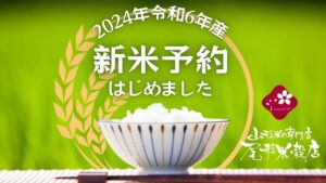 令和6年産 新米 予約はじめました！つや姫、雪若丸、ミルキークイーン