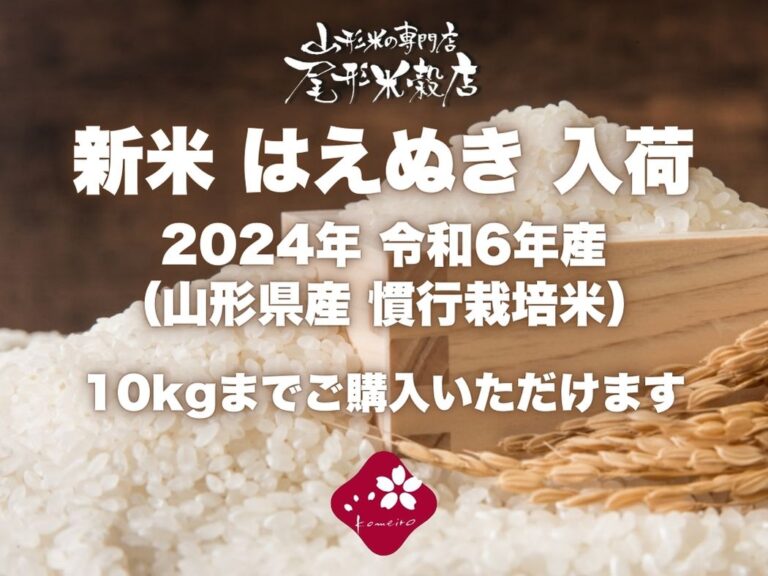 新米 2024年 令和6年産 はえぬき 慣行栽培米 河北町渡邊さん